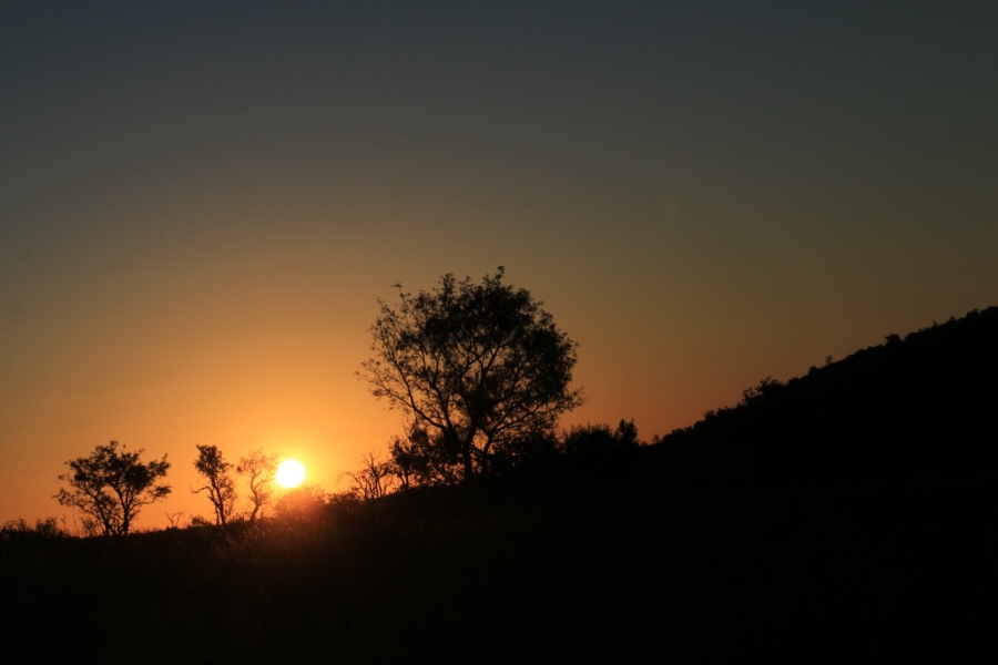 Commercial Property for Sale in Lekwena Wildlife Estate North West
